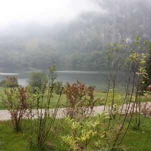 Bergmesse auf der Laudachseealm