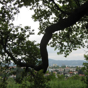 Männermaiandacht 