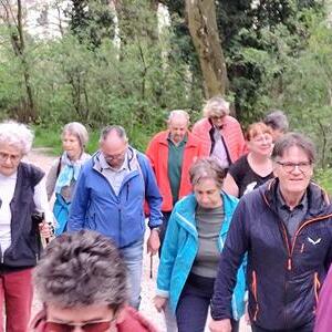 Kreuzweg der KMB auf den Pöstlingberg