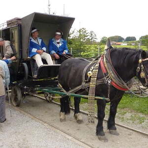 Senioren fuhren mit der Pferdeeisenbahn