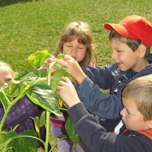 Kindergartenkinder