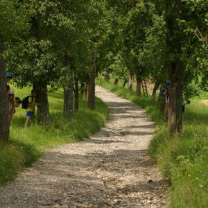 Jungscharlager 
