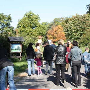 Herbst-KWG am Freinberg