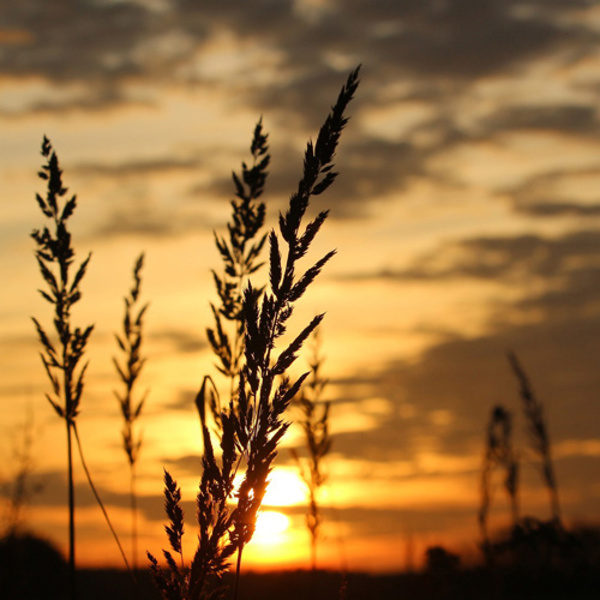 Sonnenuntergang / © rihaij/pixabay.com/CC0 1.0 Sonnenuntergang