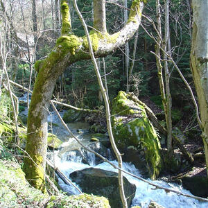 KMB-Wanderung