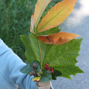 Herbst-KWG am Freinberg